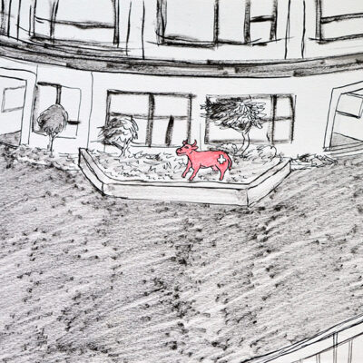 DeMemLug-Colegio-Patio-Vaca