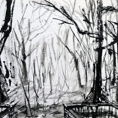 DeMemLug-Wisconsin-Bosque