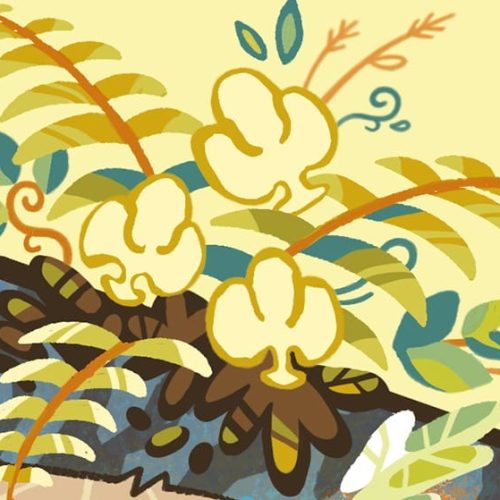 Flora detalles (2)